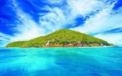 张镇麟一飞冲天空接暴扣 上海多点开花轰6-0打停辽宁